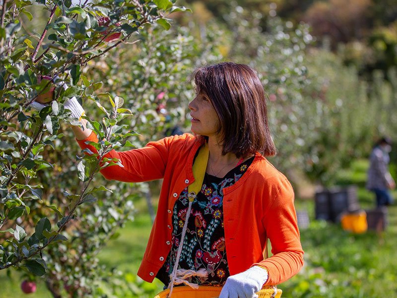 🏞️ 이와테 하치만타이 샐러드 농장 마을(이와테 하치만타이 사라다파무비렛지) 이미지 10